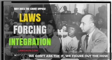 Courts Resist Integration Mandates: Legal Hurdles and Societal Implications