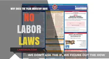 Exposing Hollywood's Dark Secret: The Absence of Labor Laws in Film
