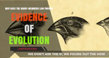 Hardy-Weinberg Law: Unveiling Evolution's Genetic Footprint in Populations