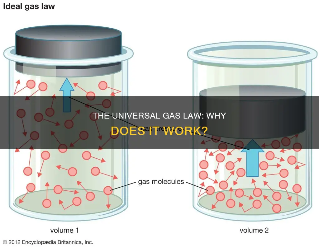 why does the ideal gas law apply to all gases