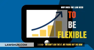 Why Legal Flexibility is Essential for Modern Society's Needs
