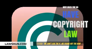Why the US Copyright Law Protects Creativity and Innovation