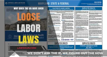 Why US Labor Laws Lag: Weak Protections and Their Impact