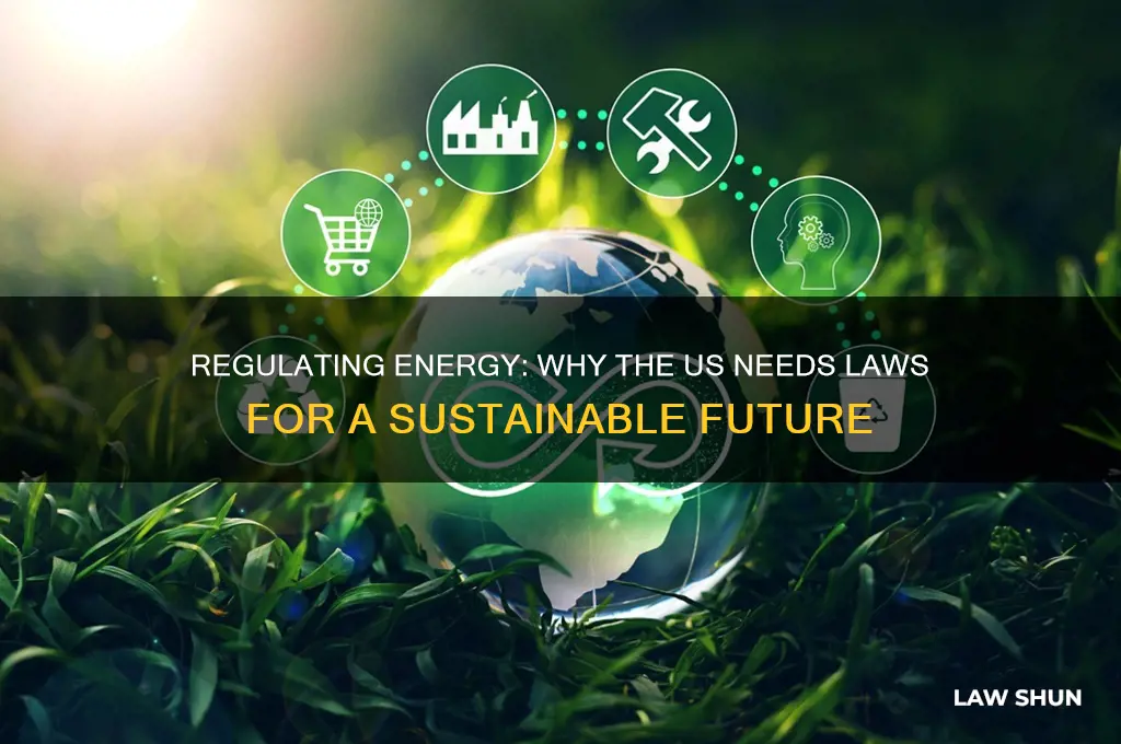 why does the us needs laws to regulate energy