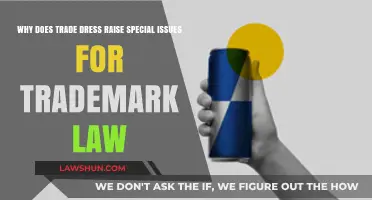 Trade Dress Challenges: Unique Trademark Law Issues Explained