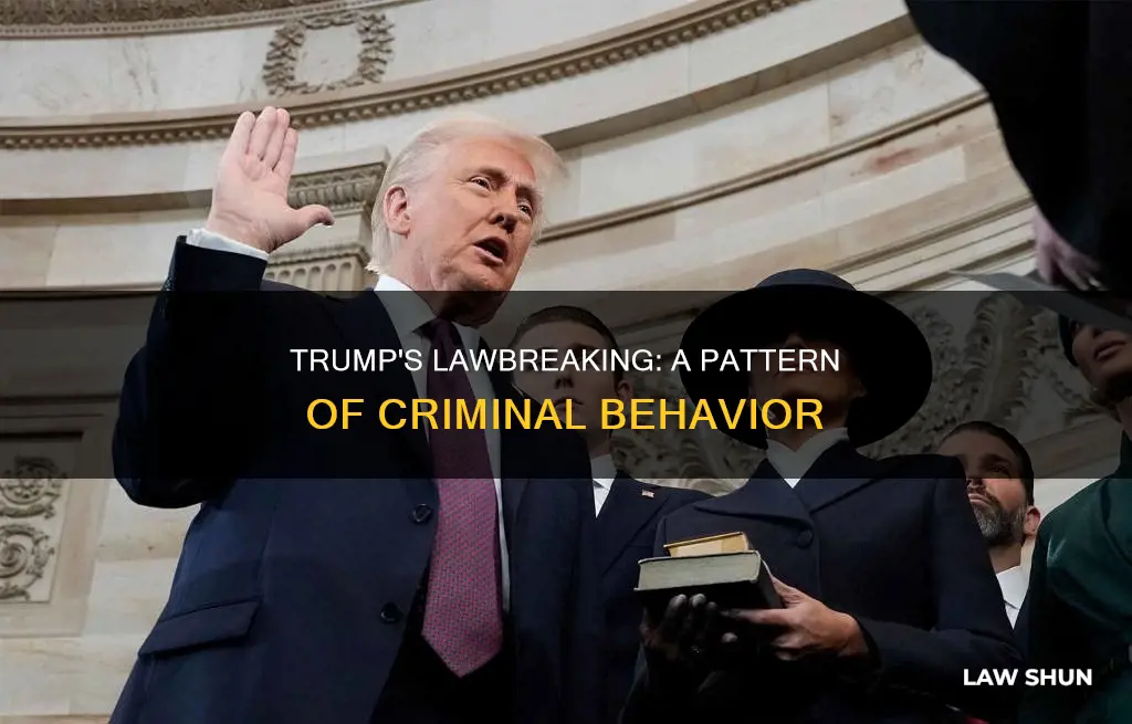why does trump keep breaking the law