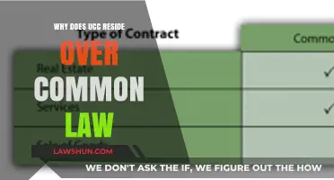 UCC vs Common Law: Why UCC Takes Precedence