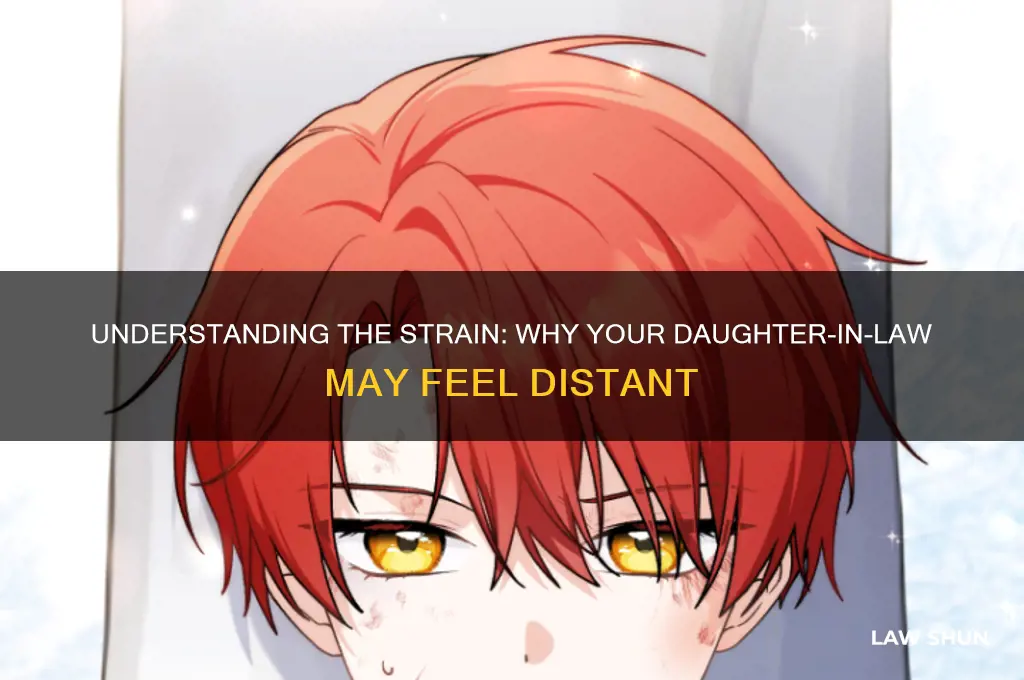 why doesn t my daughter in law like me