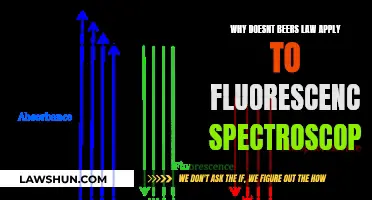 Fluorescence Spectroscopy: Beyond Beer's Law Understanding