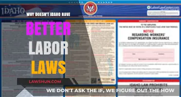 Idaho's Labor Laws: Why Workers Deserve Stronger Protections and Reforms