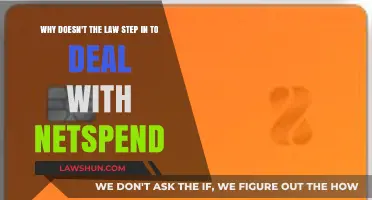 Why Netspend Escapes Legal Scrutiny: Unraveling the Regulatory Gap
