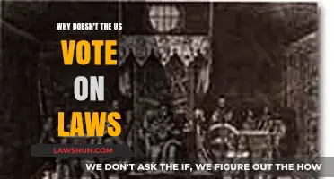 Why Doesn't the US Vote on Laws? Exploring Direct Democracy