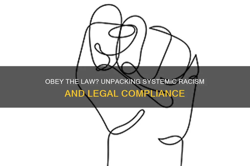 why dont black people just obey the law