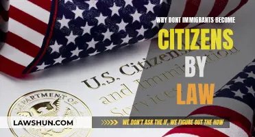 The Path to Citizenship: Immigrants' Legal Challenges