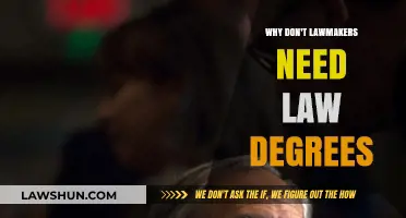 Lawmakers Without Law Degrees: Why Legal Expertise Isn't Mandatory