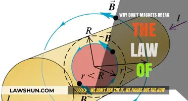 Magnets: Breaking the Law of Attraction or Repulsion?