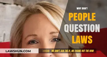 Blind Obedience: Why Society Rarely Questions the Laws That Govern Us