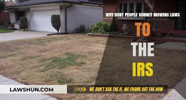 Unmowed Lawns, Unfiled Taxes: Why IRS Ignores Mowing Laws