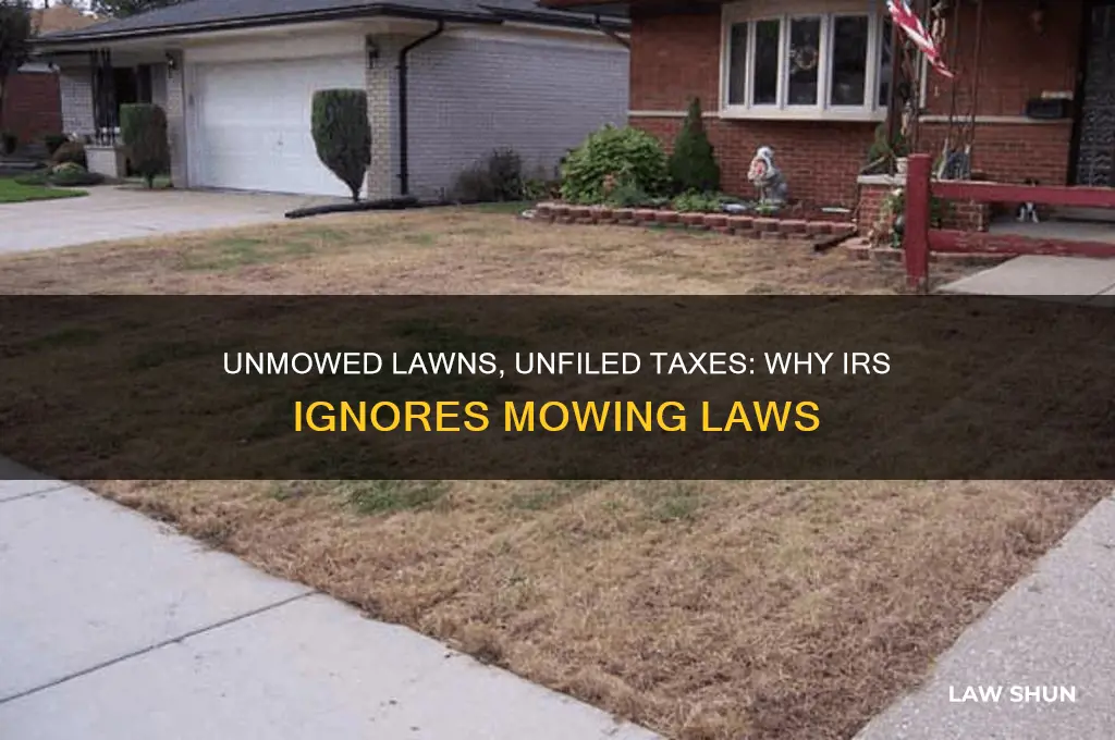 why dont people submit mowing laws to the irs