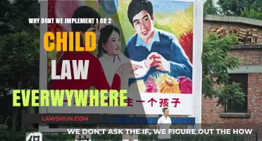 One or Two Child Policies: Global Feasibility and Ethical Considerations
