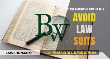 Avoid Lawsuits and Restructure Debt with Chapter 11 Bankruptcy Filing