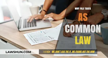 Filing Taxes as Common-Law: Benefits and Advantages