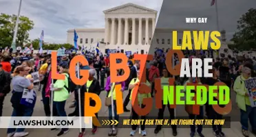 Protecting LGBTQ+ Rights: Why Gay Laws Are Essential for Equality