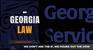 Why Georgia Law? Exploring Legal Excellence and Career Opportunities