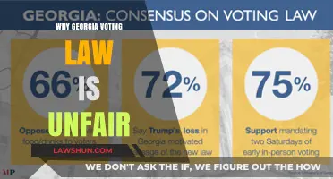 Georgia's Voting Law: Unfair Restrictions on Democracy and Equality