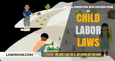 Excluded Fields: Why U.S. Child Labor Laws Ignore Agriculture