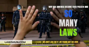 America's Over-Policing Problem: Too Many Laws?