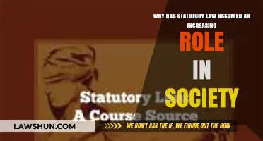 Statutory Law's Growing Influence: Shaping Modern Society's Legal Landscape