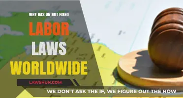 Why the UN Struggles to Standardize Global Labor Laws