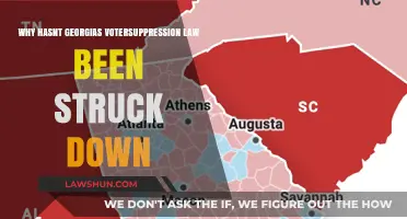 Georgia's Voter Suppression Law: Why It Still Stands Despite Criticism
