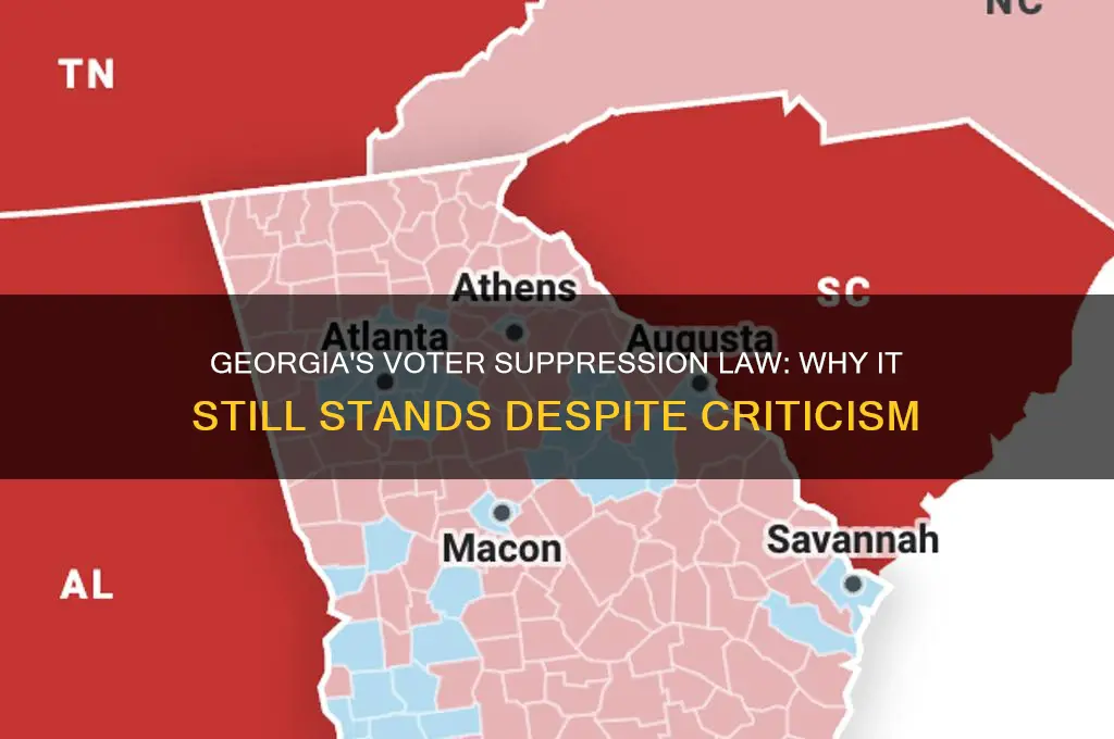why hasnt georgias votersuppression law been struck down