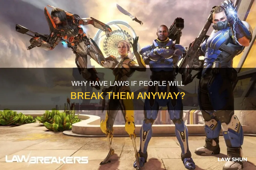 why have laws if people are just going