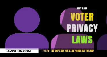 Protecting Democracy: The Critical Importance of Voter Privacy Laws