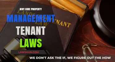 Why Hire Property Management: Navigating Tenant Laws for Landlords