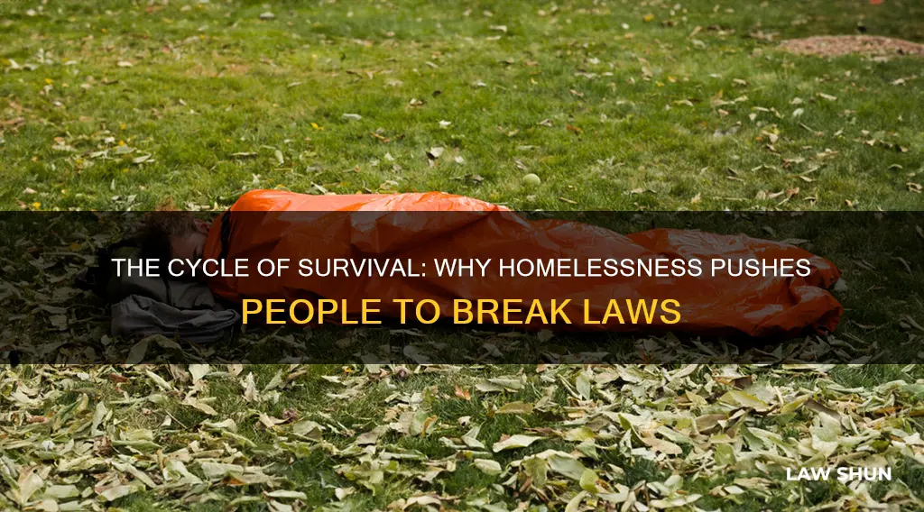 why homeless people have to break laws