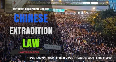 Hong Kong's Resistance: Opposing China's Extradition Law and Its Impact
