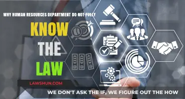 Why HR Departments Often Lack Full Legal Knowledge: Key Insights