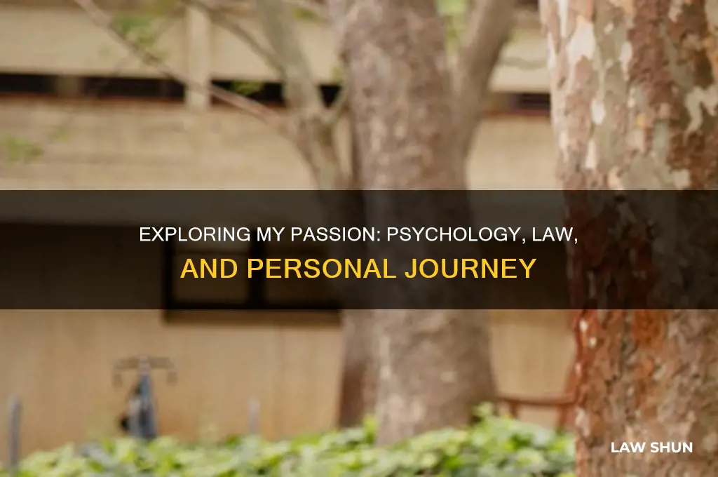 why i became intereste din psychology and the law essay