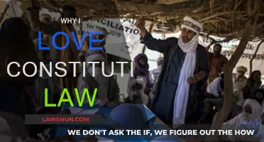 Constitutional Law: My Passion and Purpose
