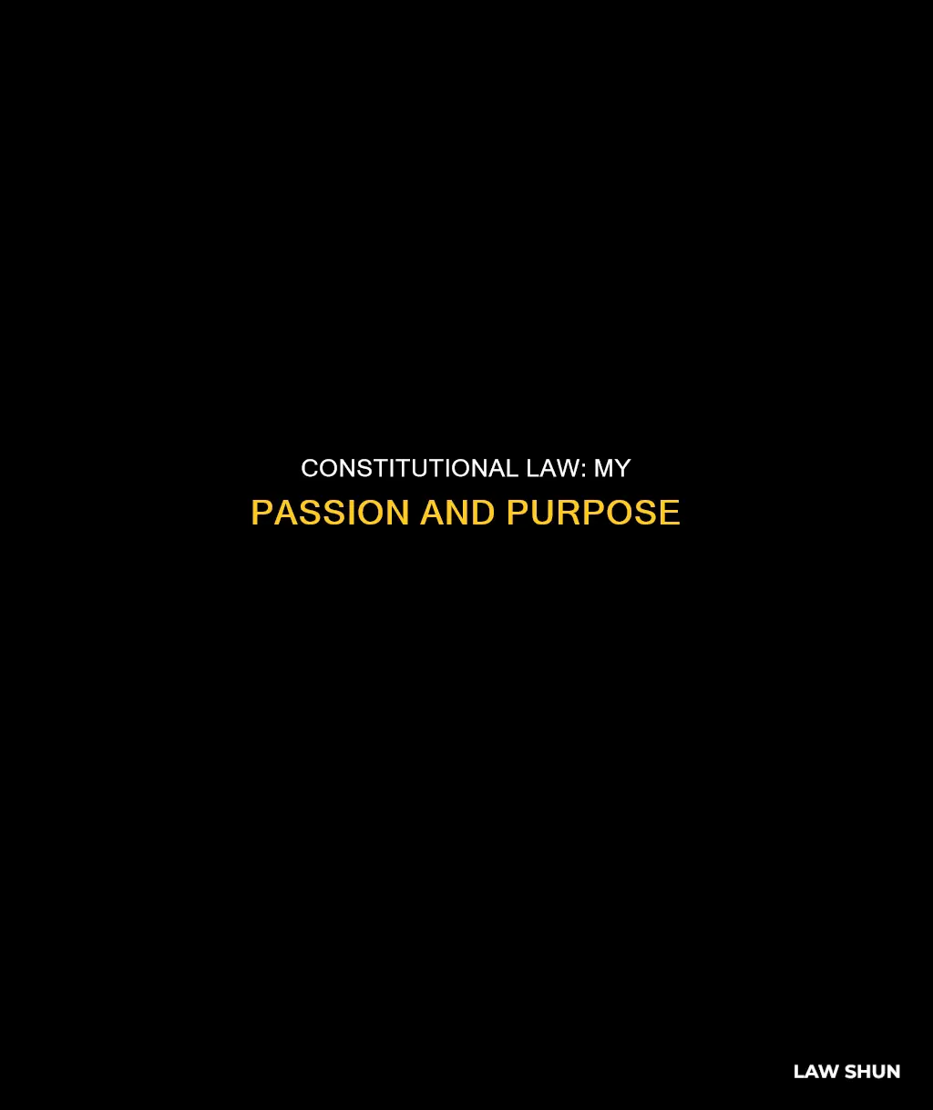 why i love constitutional law