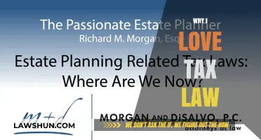 Tax Law: My Passion, My Career