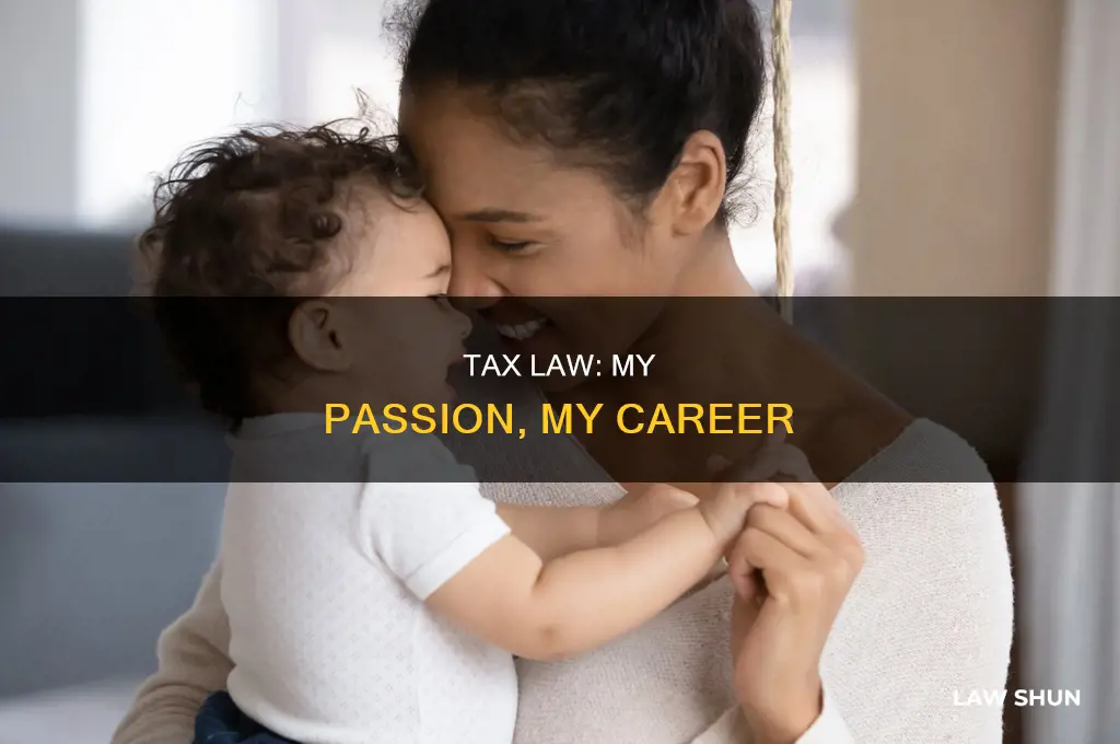 why i love tax law