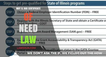 Why Illinois Maintains Its Certificate of Need Law: Key Insights