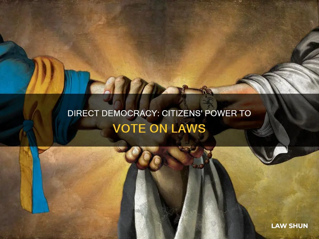 why in some states can citizens vote on laws