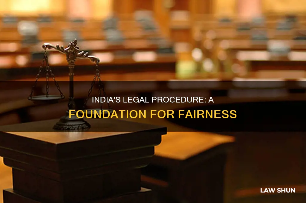 why india adopted procedure established by law