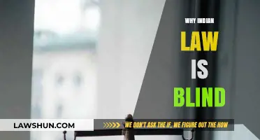 Indian Law: Blind to Justice and Equality